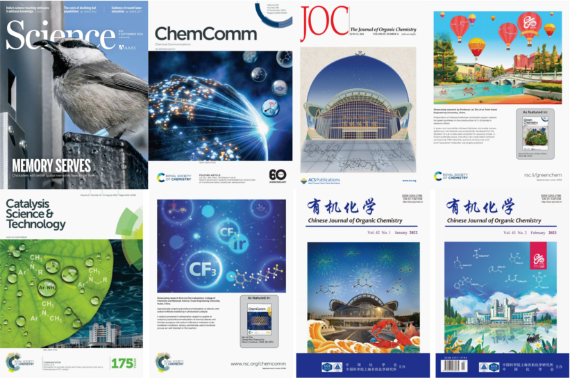 我校朱磊教授团队在国际知名期刊发表封面文章-湖北工程学院新闻网